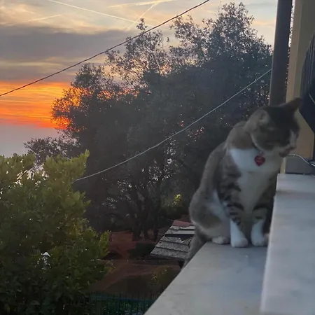 Апартаменты La Mamounia