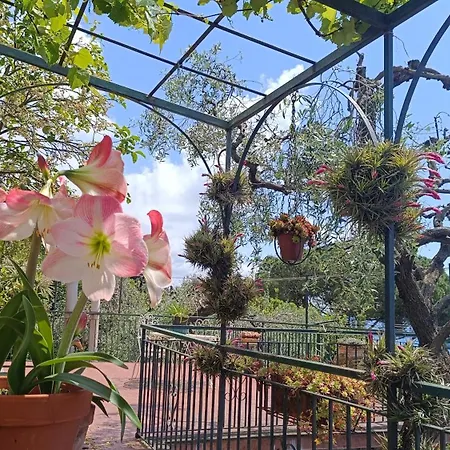 La Mamounia Генуя