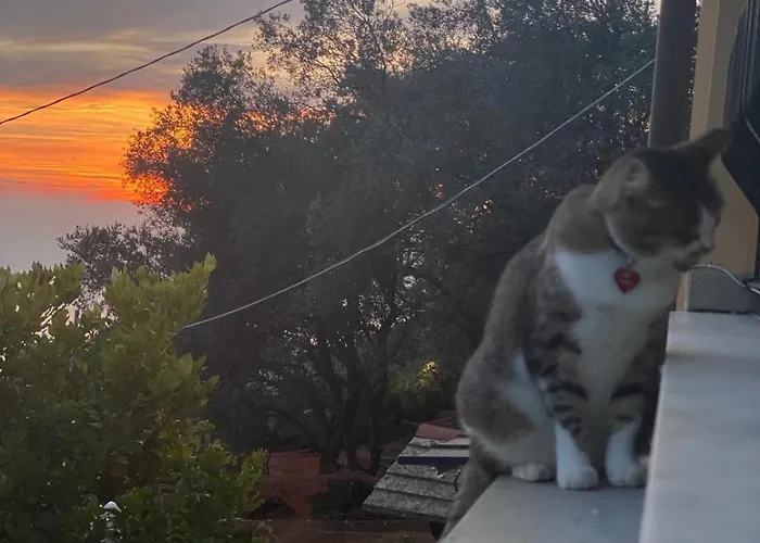 Appartement La Mamounia